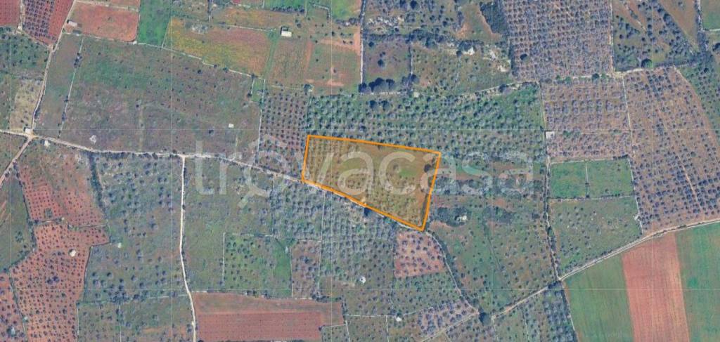 immagine annuncio 6 di 7