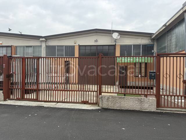 immagine annuncio 1 di 14