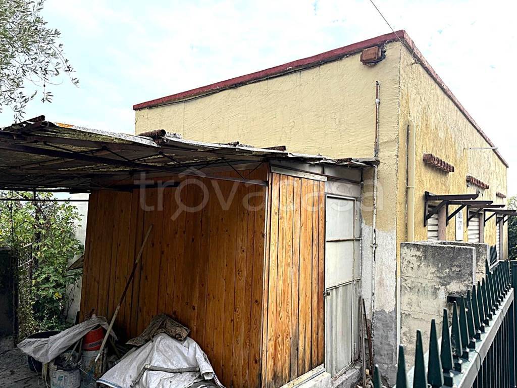 immagine annuncio 2 di 7