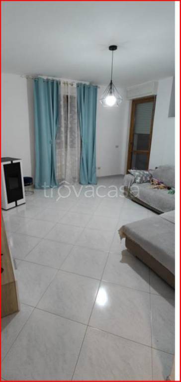 immagine annuncio 5 di 12