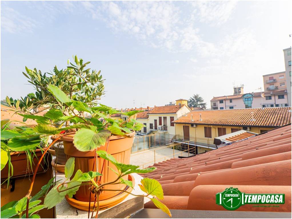 immagine annuncio 3 di 9