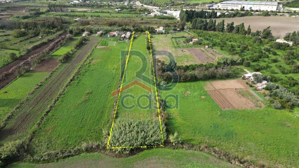 immagine annuncio 3 di 6