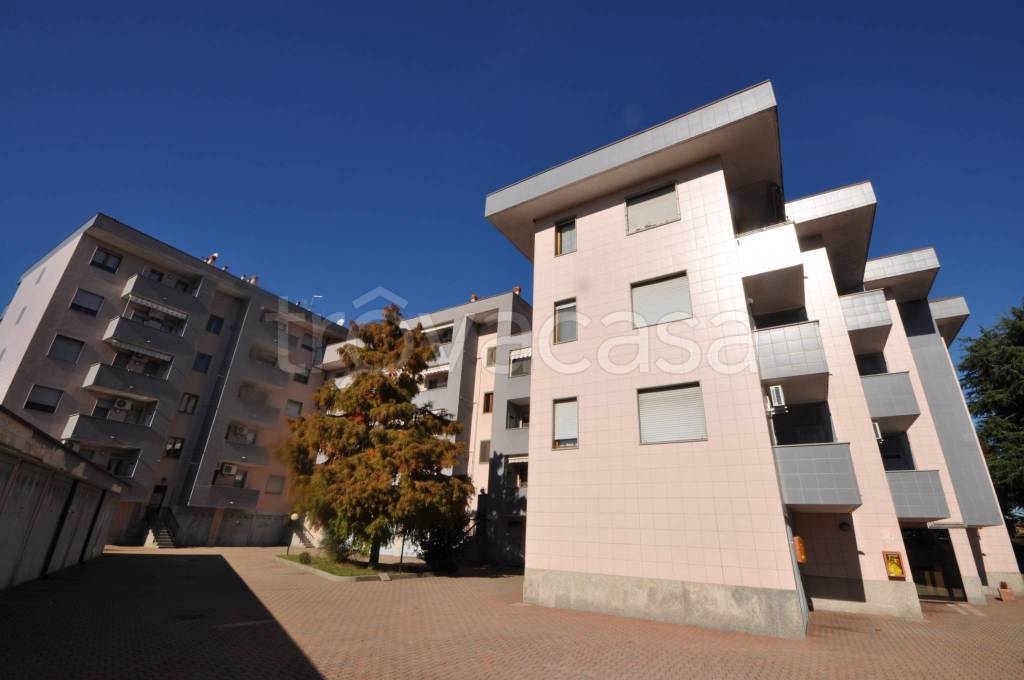 immagine annuncio 2 di 3