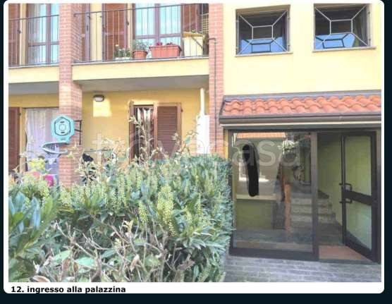 immagine annuncio 5 di 15