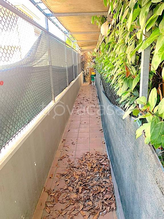 immagine annuncio 4 di 8