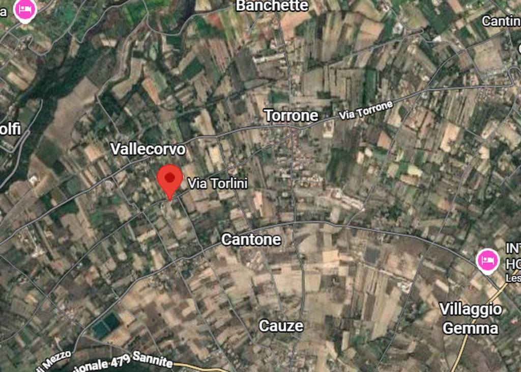 immagine annuncio 6 di 13