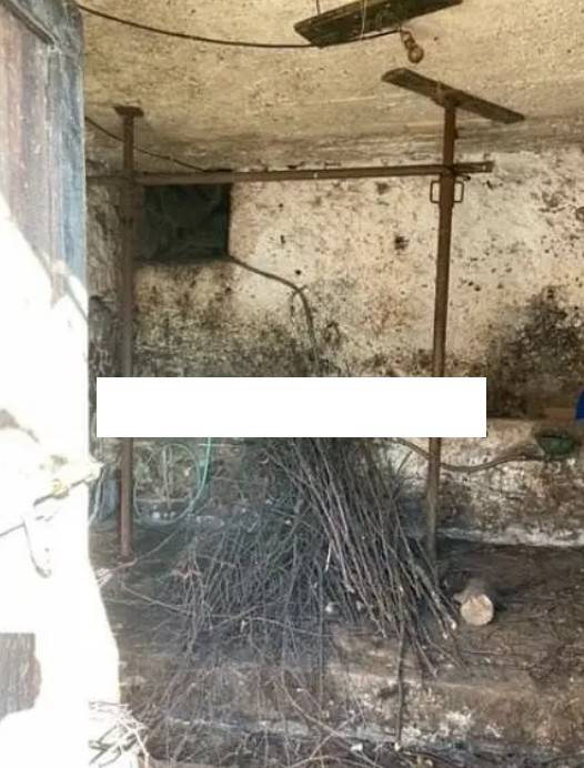 immagine annuncio 6 di 11