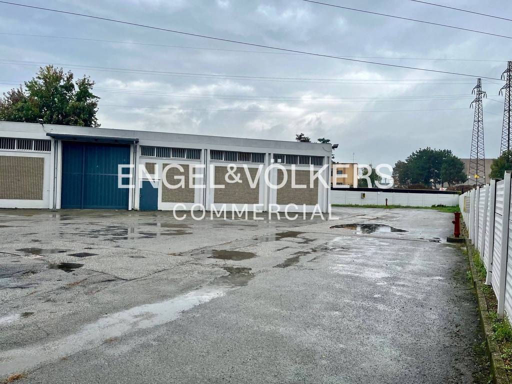 immagine annuncio 2 di 15