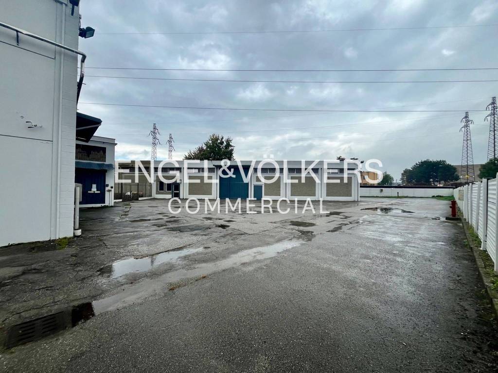 immagine annuncio 9 di 15