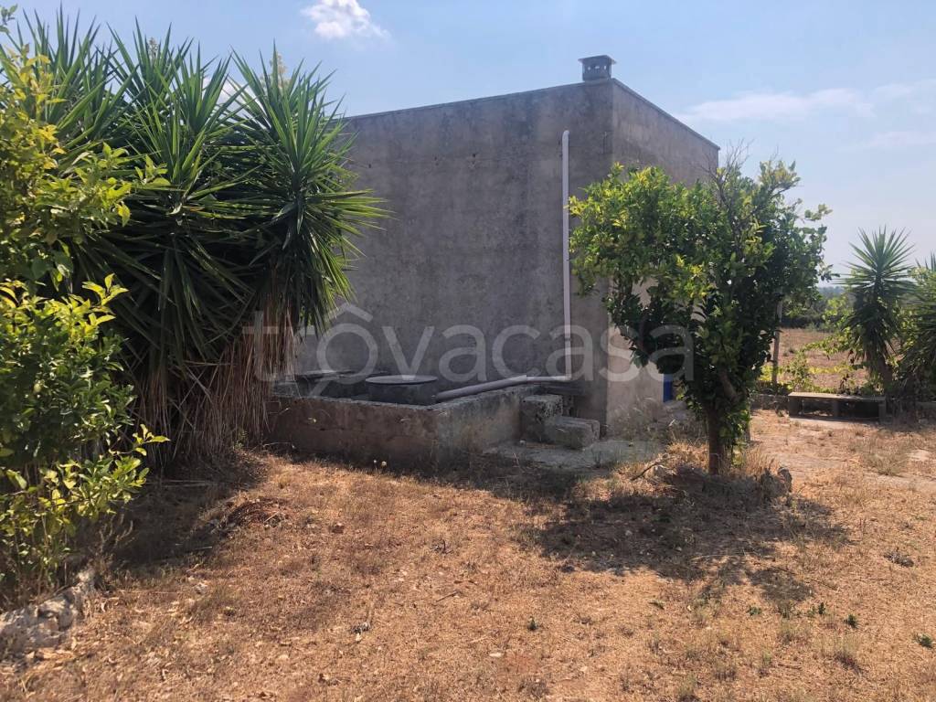 immagine annuncio 1 di 7