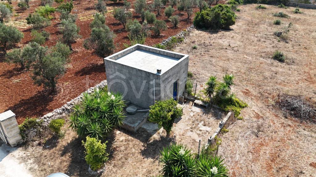 immagine annuncio 3 di 7