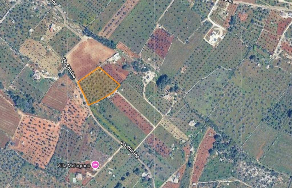 immagine annuncio 6 di 7