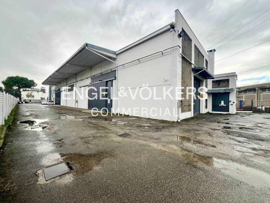 immagine annuncio 9 di 13