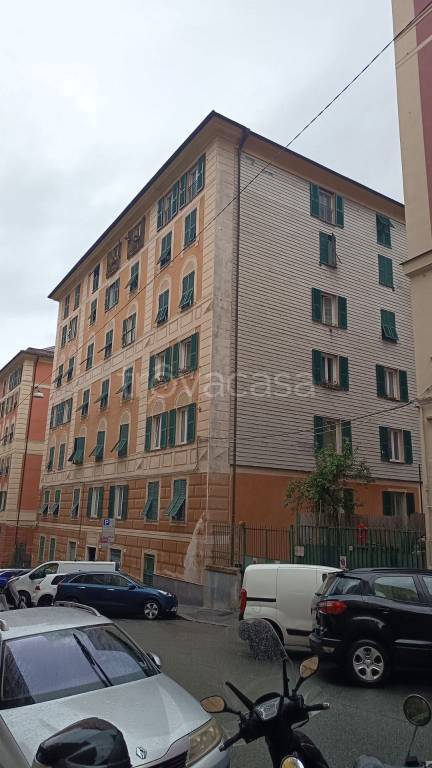 immagine annuncio 12 di 14