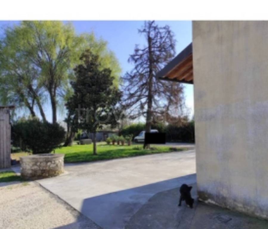 immagine annuncio 5 di 12