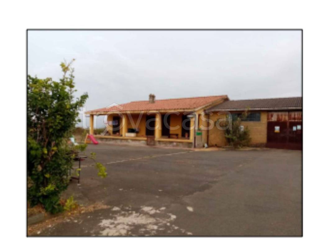 immagine annuncio 9 di 12