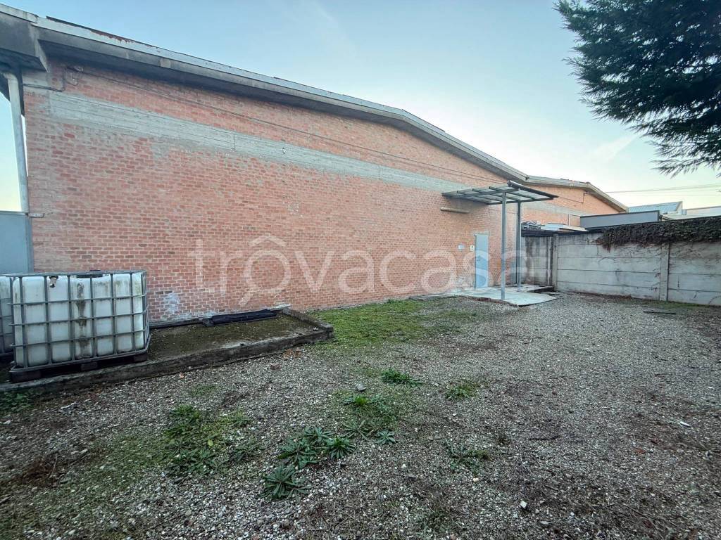 immagine annuncio 5 di 15