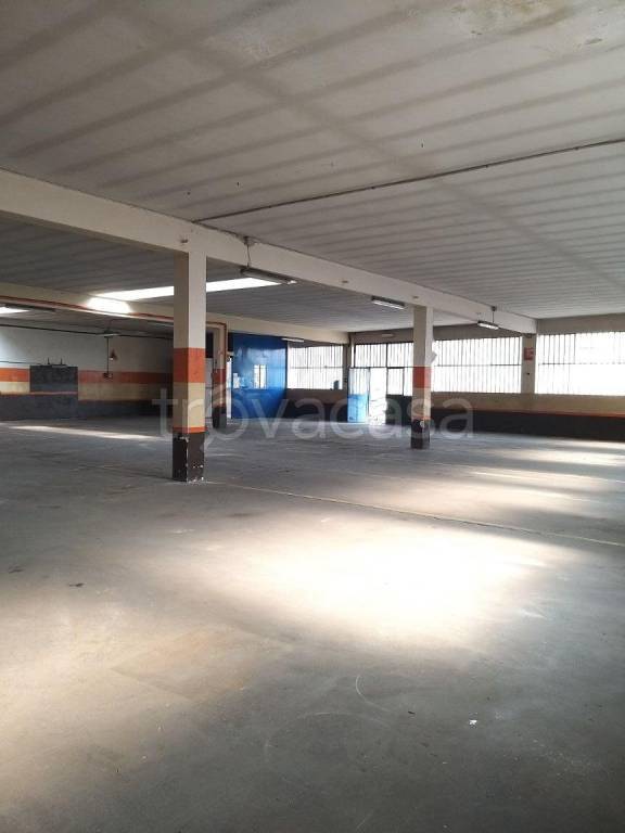 immagine annuncio 5 di 10