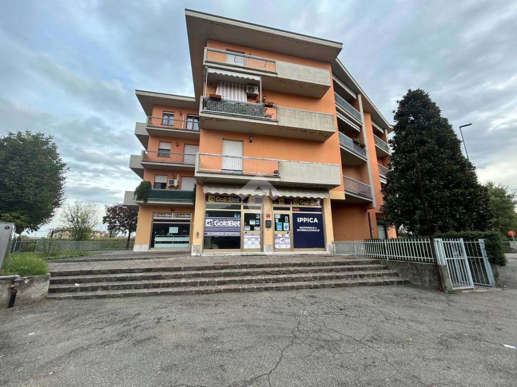 immagine annuncio 10 di 15