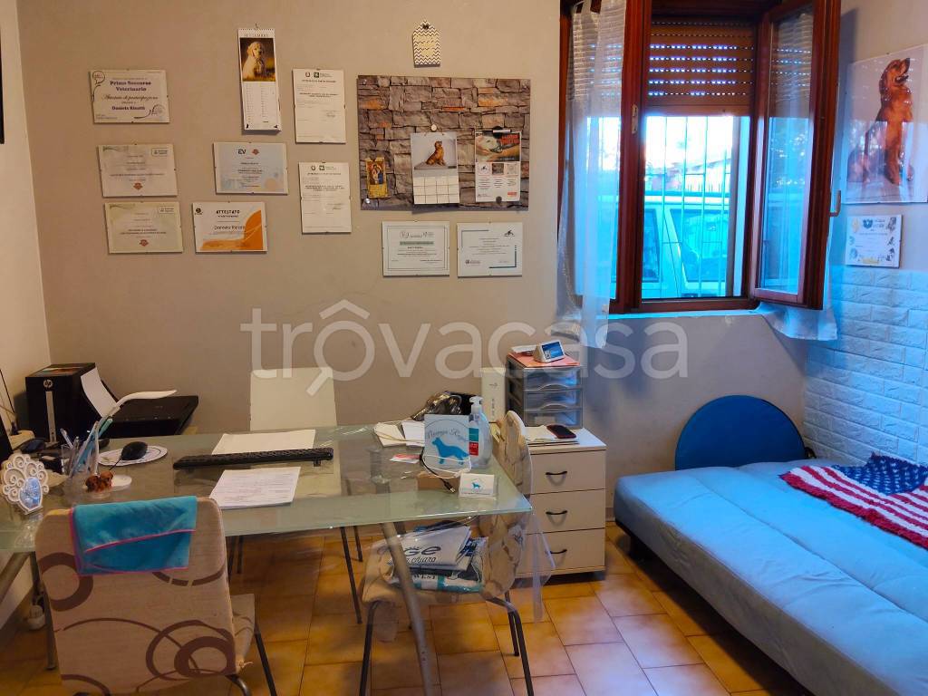 immagine annuncio 10 di 15