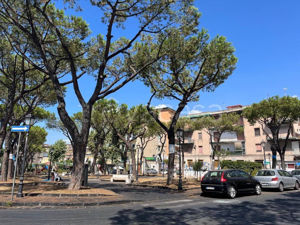 immagine annuncio 8 di 13