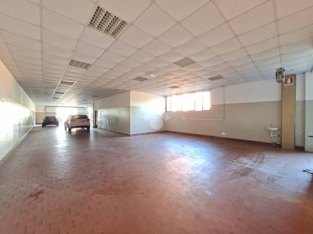 immagine annuncio 1 di 11