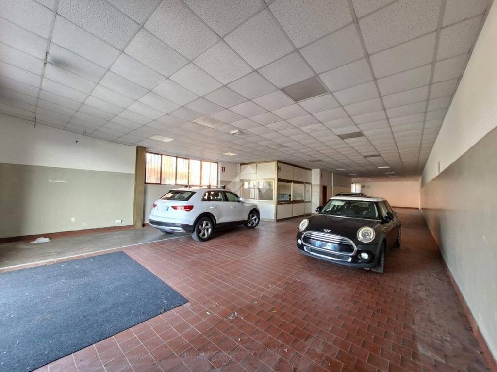 immagine annuncio 3 di 11