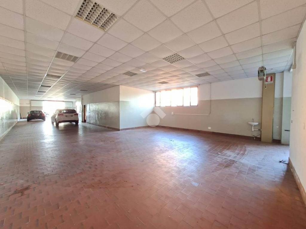 immagine annuncio 6 di 11