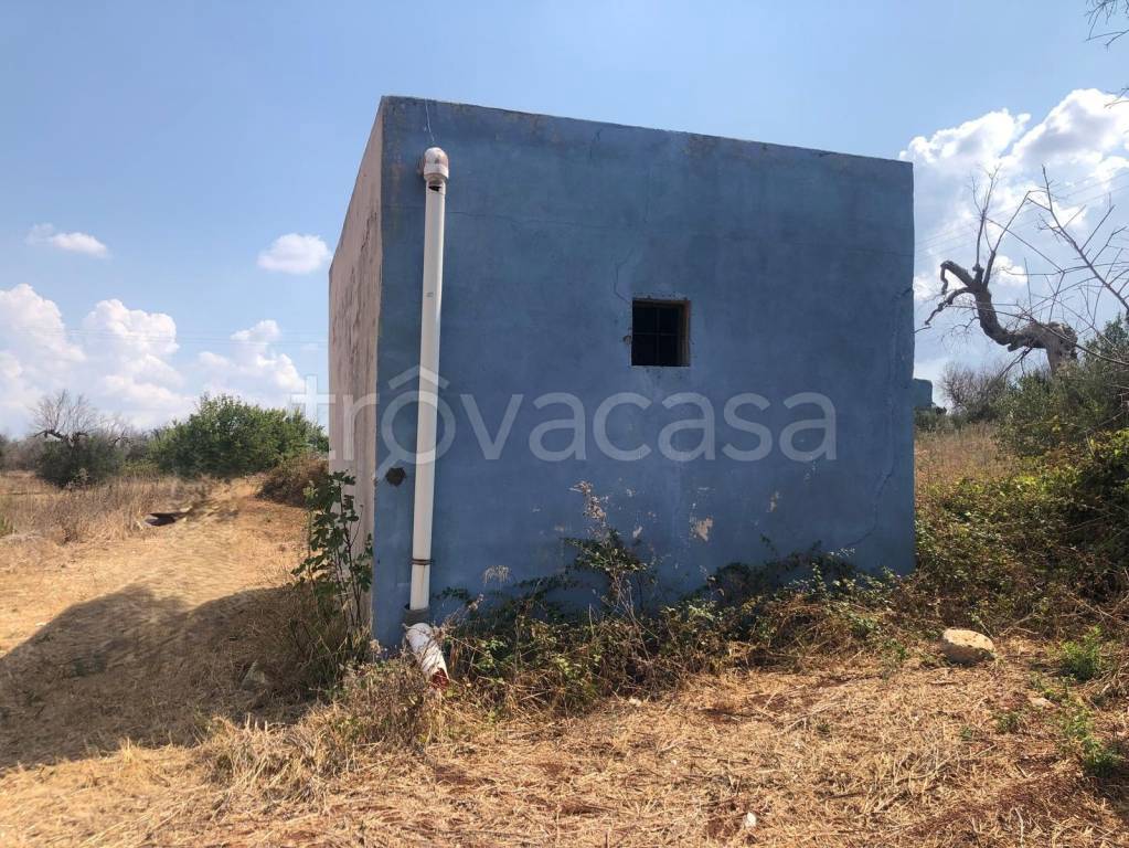 immagine annuncio 1 di 6