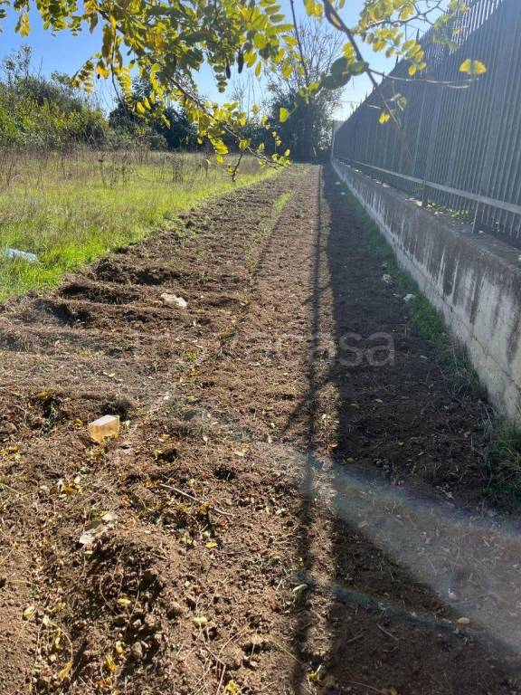 immagine annuncio 1 di 7