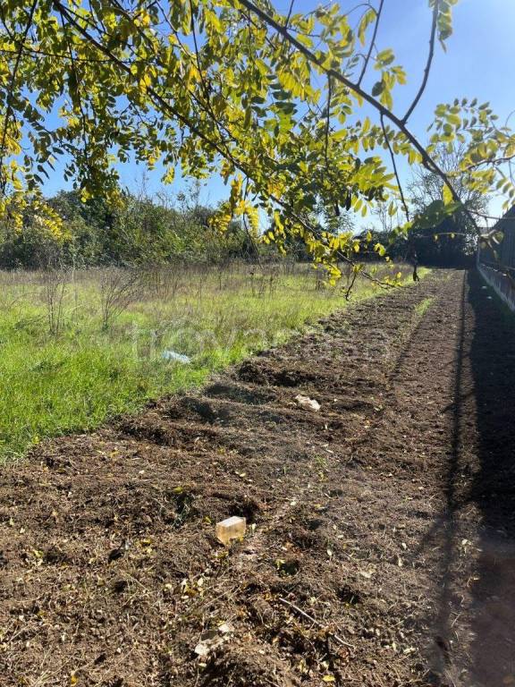 immagine annuncio 3 di 7