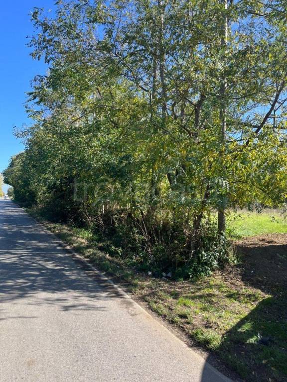 immagine annuncio 4 di 7