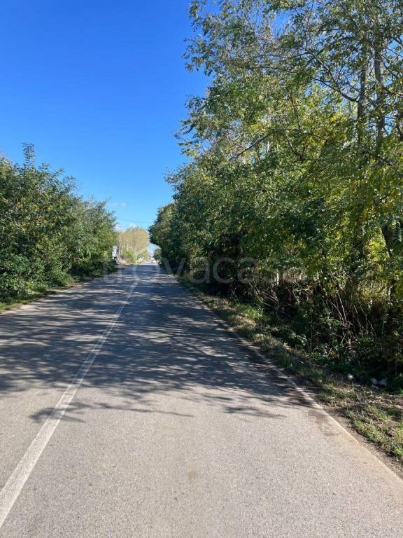 immagine annuncio 5 di 7