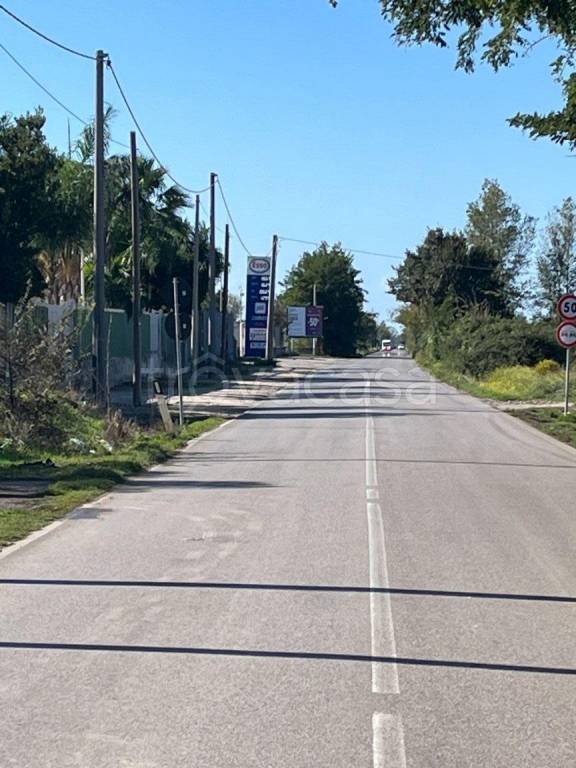 immagine annuncio 6 di 7