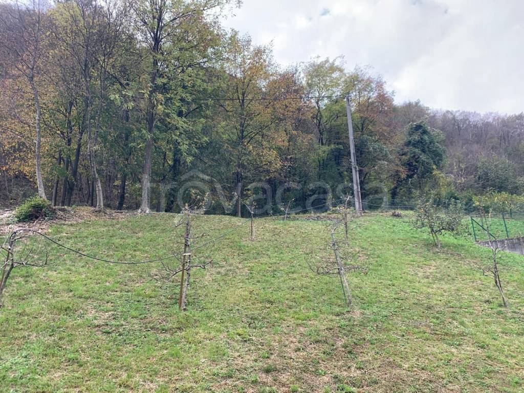 immagine annuncio 2 di 6