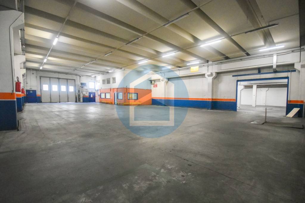 immagine annuncio 12 di 15