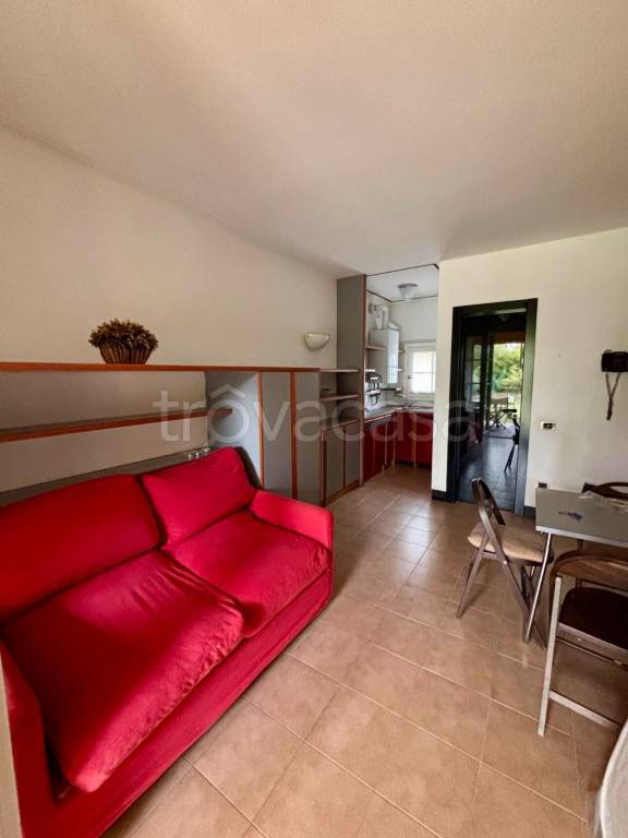 immagine annuncio 2 di 7