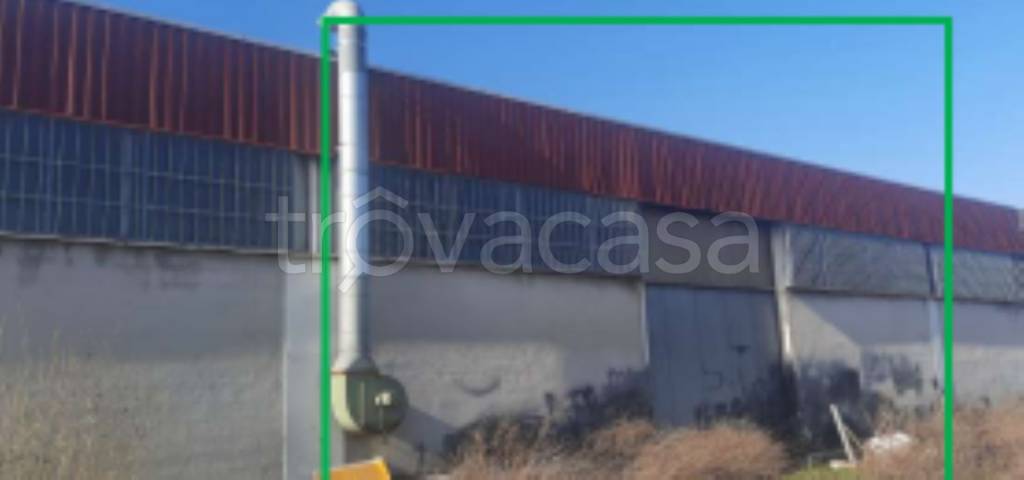 immagine annuncio 2 di 12