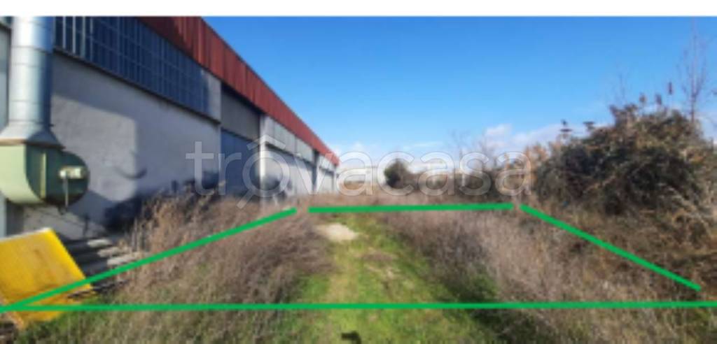 immagine annuncio 6 di 12