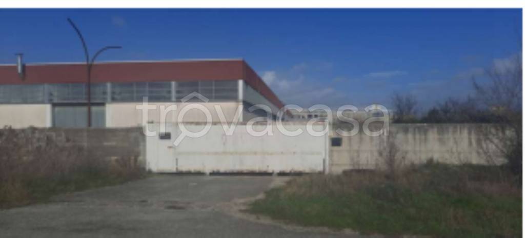 immagine annuncio 11 di 12