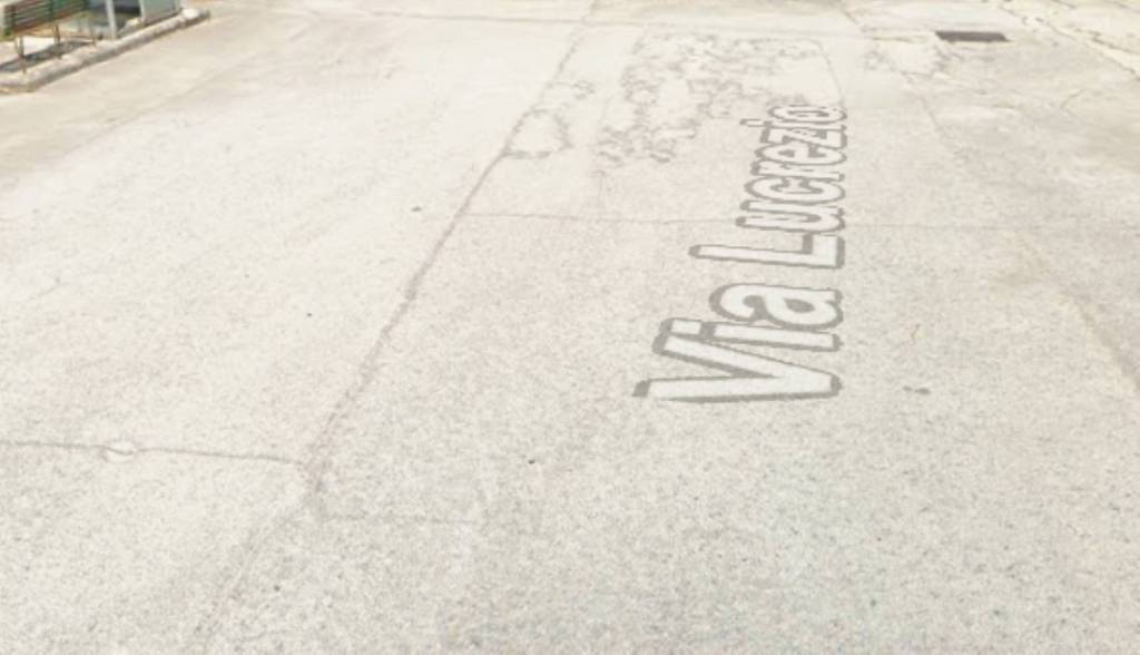 immagine annuncio 5 di 14