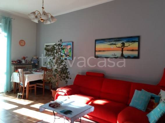 immagine annuncio 10 di 14