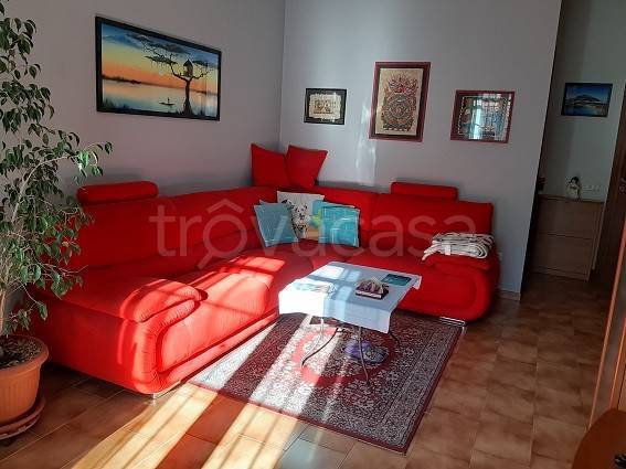 immagine annuncio 11 di 14