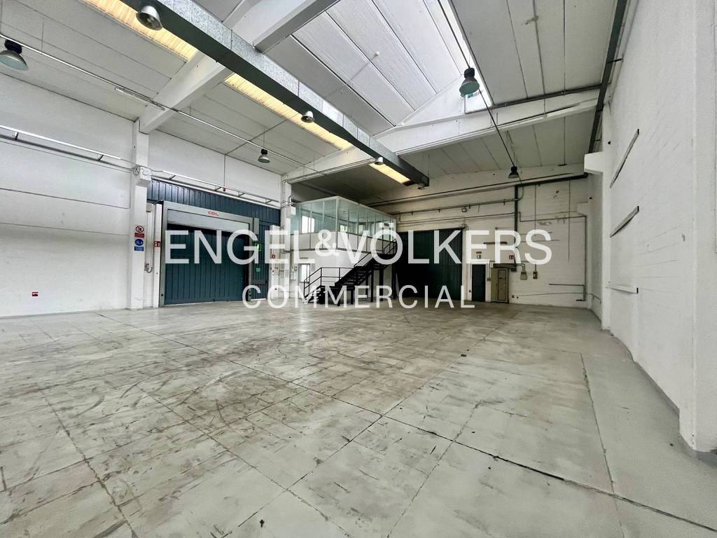 immagine annuncio 5 di 13