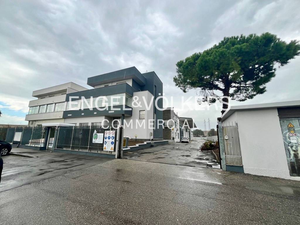 immagine annuncio 11 di 13