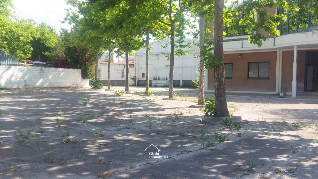 immagine annuncio 1 di 14