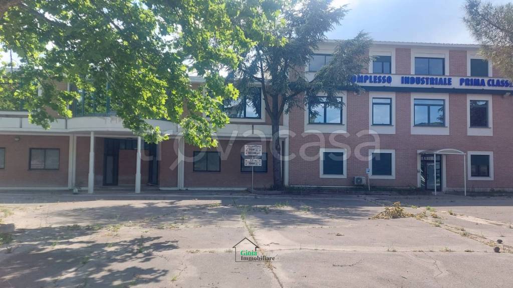 immagine annuncio 7 di 14