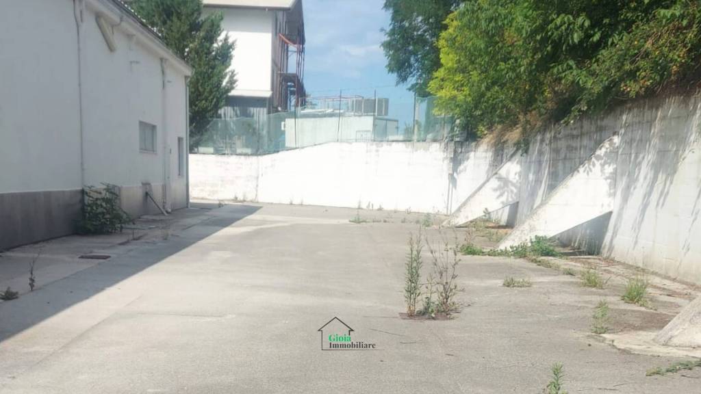 immagine annuncio 9 di 14