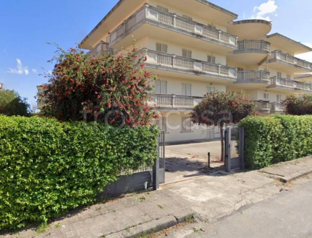 immagine annuncio 10 di 13