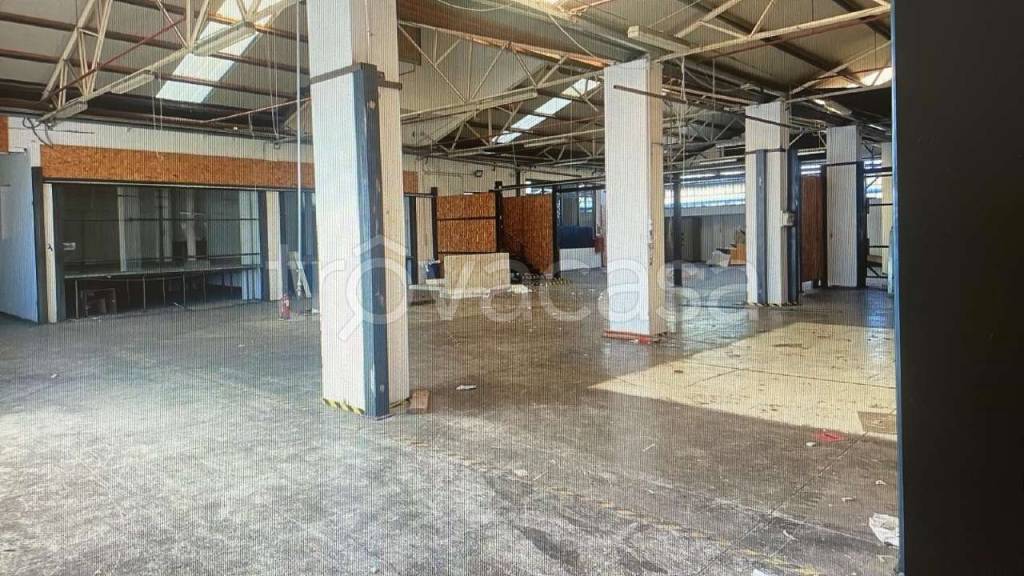 immagine annuncio 8 di 14